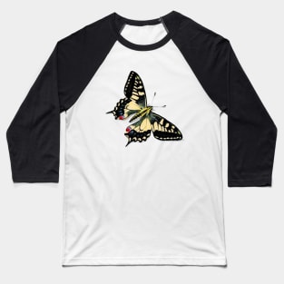 Swallowtail Butterfly Baseball T-Shirt